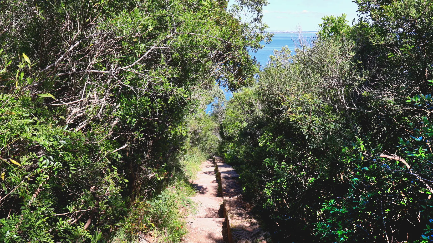 Steps to the cave