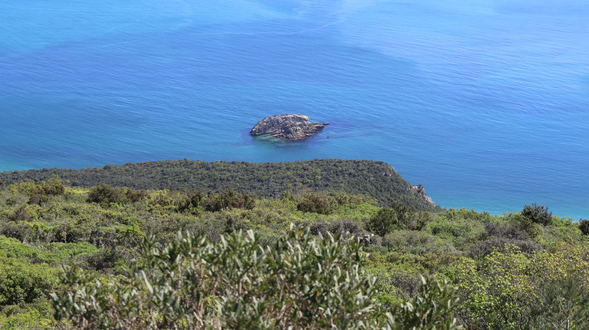 Viewpoint Anicha